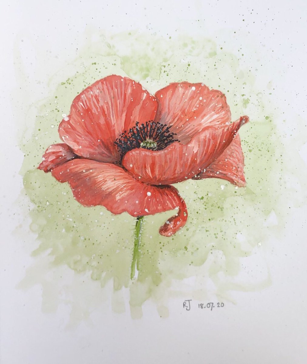 AWatercolour's tweet photo. An old one for the 11th day of the 11th month. 

(I still haven’t fully mastered poppies but that is not what this is about 🤫) https://t.co/52445UgKWl