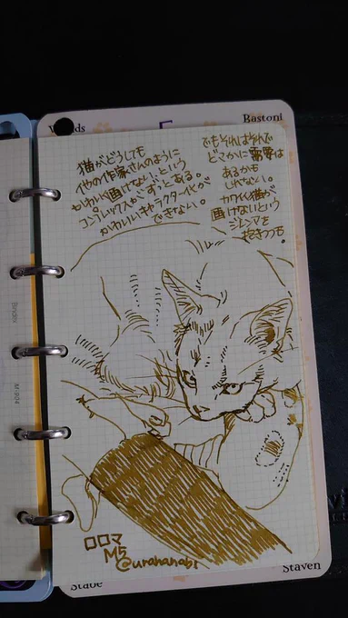 描けないながら描き続けることに多分意味はあると信じて。……うちの猫もっと可愛いのに……うう #うちの犬猫覚書 #裏花火落書 