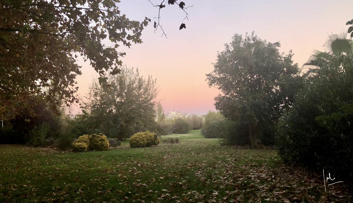 juhiguera's tweet photo. “Atardecer en el #Guadiana emeritense” #Noviembre2021 #Merida #Extremadura #extremaduramola #meridamola #fotosconmovil @Merida_Spain @ayto_merida #Salud y #FelizJueves https://t.co/ckW6NfX6T0