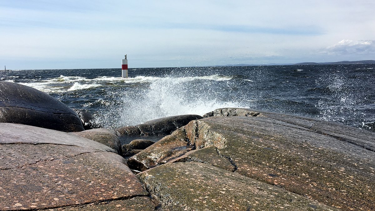 SLU Aqua tweet media