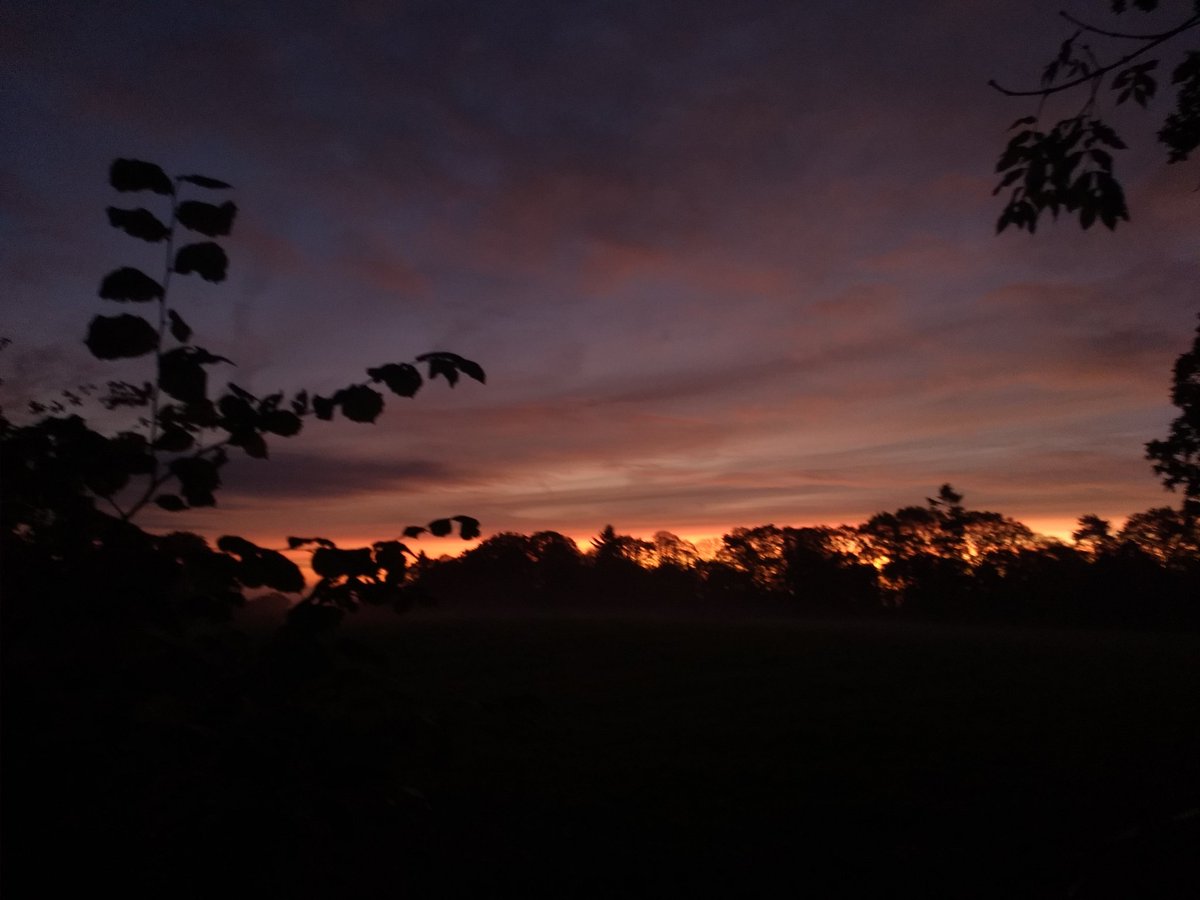 Another great sunrise ( the real thing is SO much better than this rubbish phone picture)