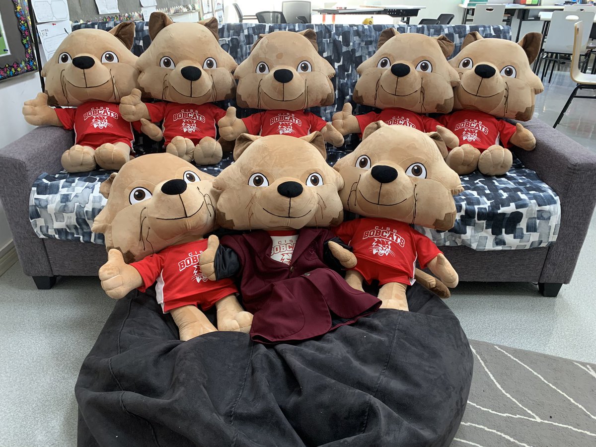 Bobcat’s friends have finally arrived. #togetherisbetter Earn Bobcat Bucks to have one join your advisory class. #myCISB