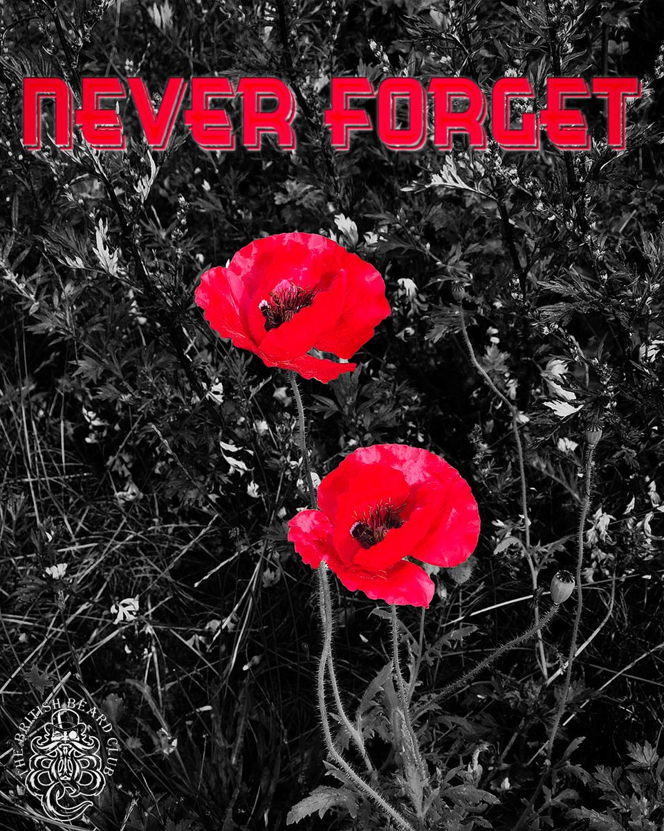 tbbclub's tweet image. Remembrance Day is commemorated every year on 11 November to mark The Armistice signed between the Allies of World War I and Germany at Compiègne, France, for the cessation of hostilities on the Western Front of World War I.

Extract from ‘Rouge Bouquet’ - a poem by Joyce Kilmer