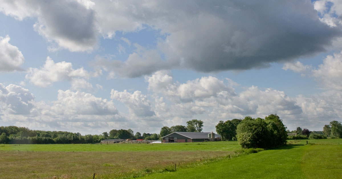 Agrifirm's tweet photo. Waar moet je aan denken als je een #nevenactiviteit wilt starten bij jouw agrarische bedrijf? We vragen het aan Noortje van Summeren – van der Linden, adviseur Ruimtelijke Ordening en Milieu bij #Exlan Advies. 👉 https://t.co/UFPartyrzt https://t.co/3ewz7boxFm