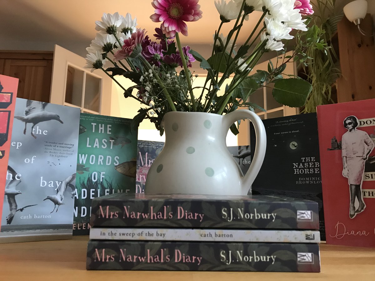 LouiseWalters12's tweet photo. Tomorrow is my 54th birthday. My indie press is in the financial doldrums so a nice present would be book sales. I've accepted I will have to close LWB if sales don't pick up, but I think this world needs indies more than ever. Here's my catalogue... https://t.co/3YAofuLrwZ https://t.co/D4ZnUJMQee