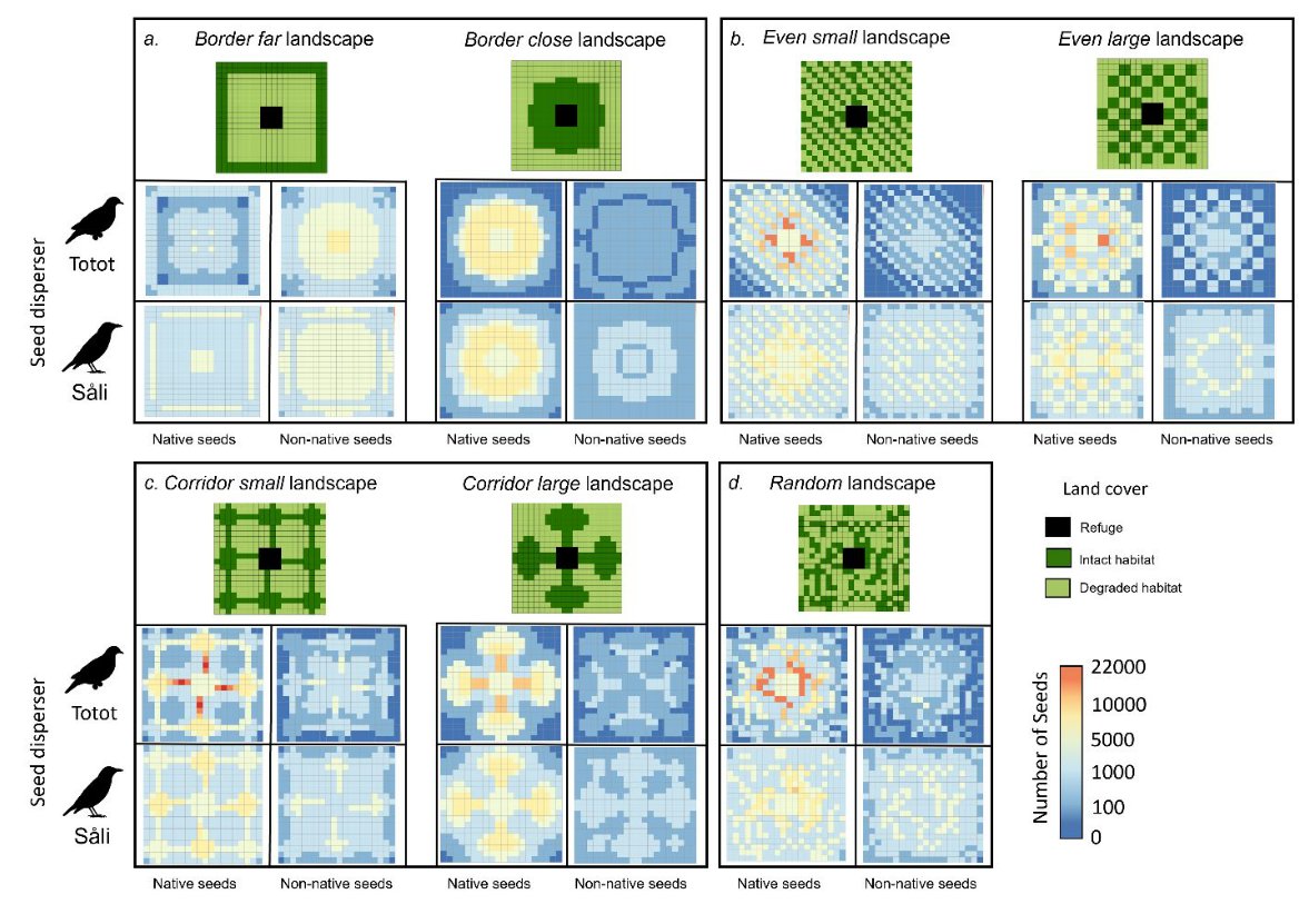 Oikos (@oikos_journal) on Twitter photo The quality of #seed #dispersal a species provides depends on the interaction between the frugivore’s traits and the surrounding landscape structure.
doi.org/10.1111/oik.08…
<a href="/WileyEcolEvol/">Wiley Ecology & Evolution</a> <a href="/NordicOikos/">Nordic Society Oikos</a> <a href="/HugoCodesNature/">Hugo Thierry</a> #OpenAccess #ecology #restoration #fragmentation #tradeoff The quality of #seed #dispersal a species provides depends on the interaction between the frugivore’s traits and the surrounding landscape structure.
doi.org/10.1111/oik.08…
<a href="/WileyEcolEvol/">Wiley Ecology & Evolution</a> <a href="/NordicOikos/">Nordic Society Oikos</a> <a href="/HugoCodesNature/">Hugo Thierry</a> #OpenAccess #ecology #restoration #fragmentation #tradeoff