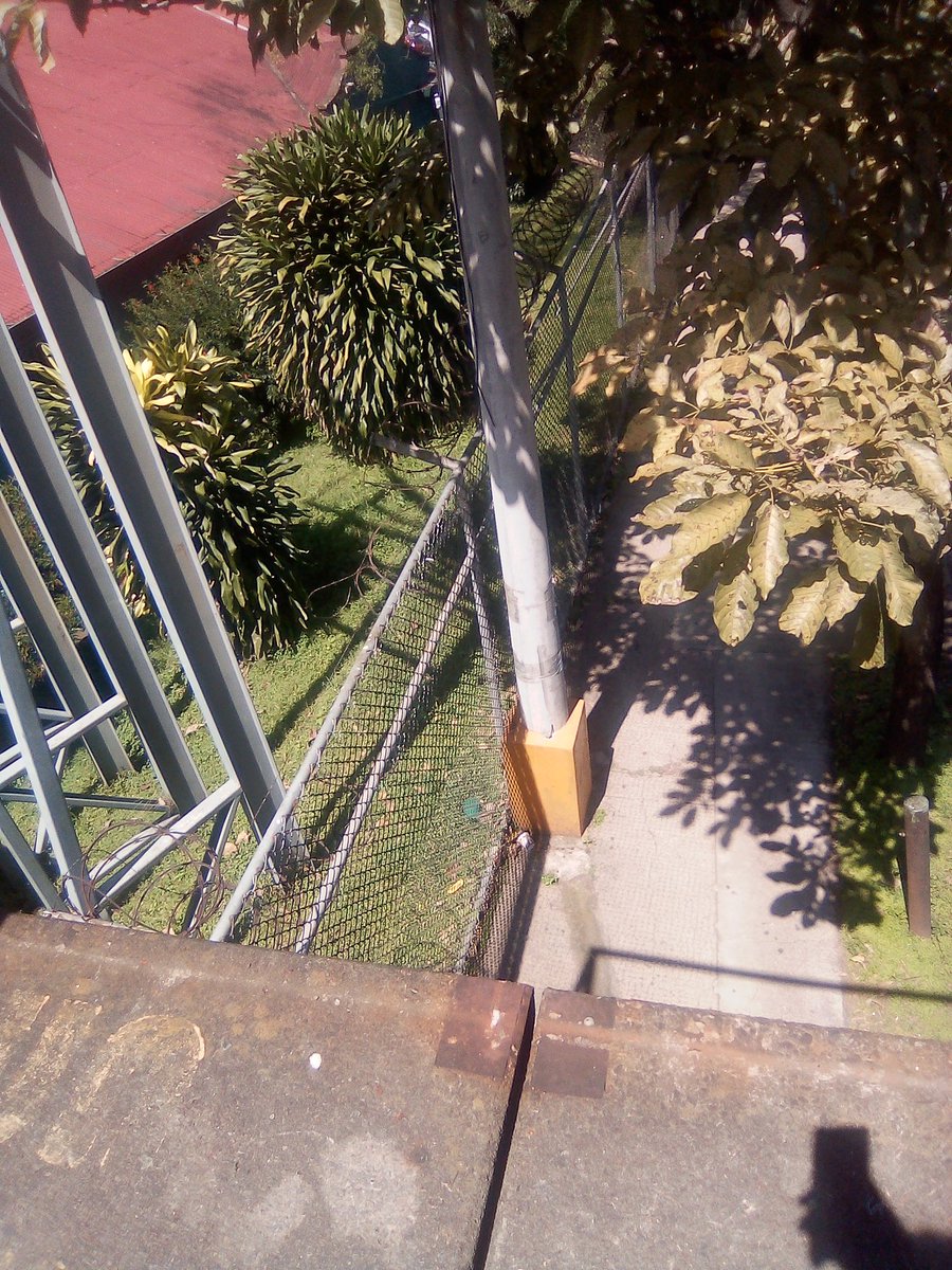 estudiante_5's tweet photo. Es importante subir estas fotos a las redes sociales para hacer ver que en mi país Costa Rica un puente peatonal está a merced de un puñado de indigentes que para satisfacer su necesidad de adicción roban en prejuicio de nosotros. https://t.co/Mij5RKK3of