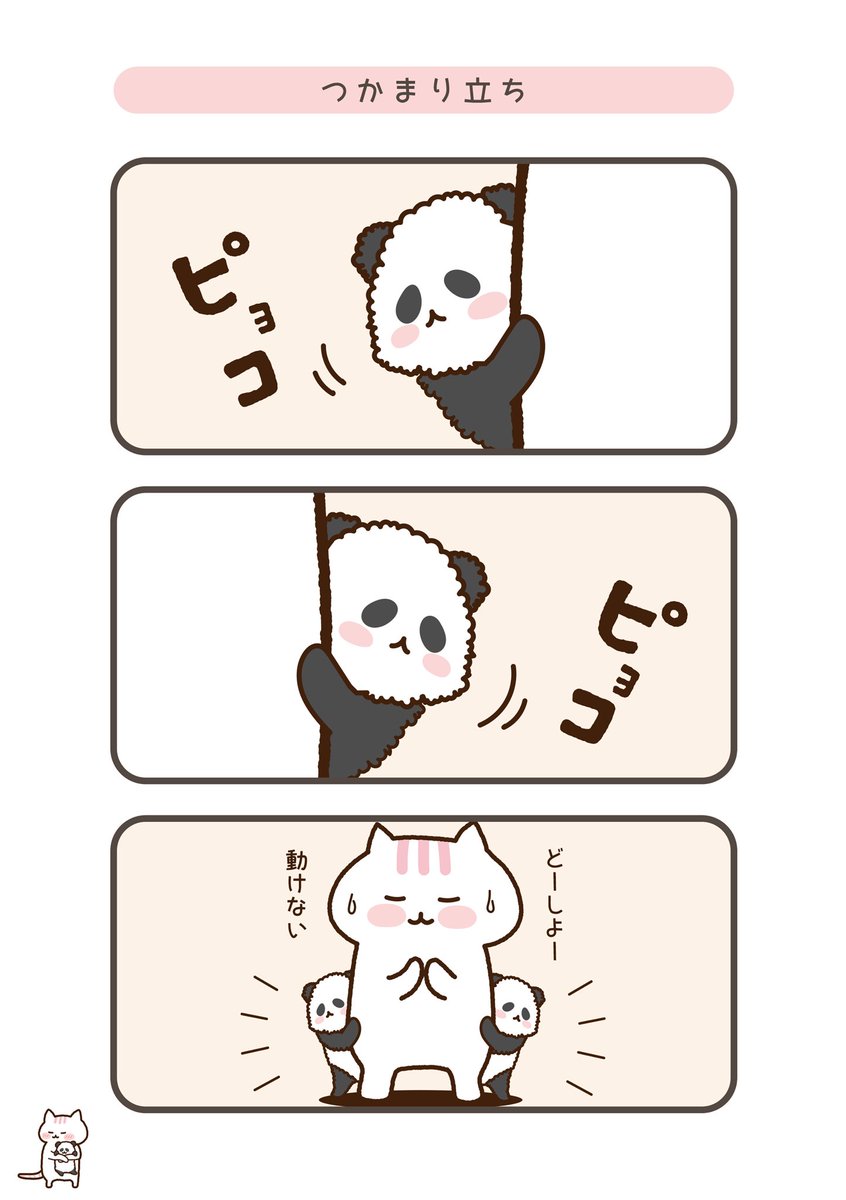 Top Tweets For 双子パンダ Twstalker Top Tweets For 双子パンダ Twstalker