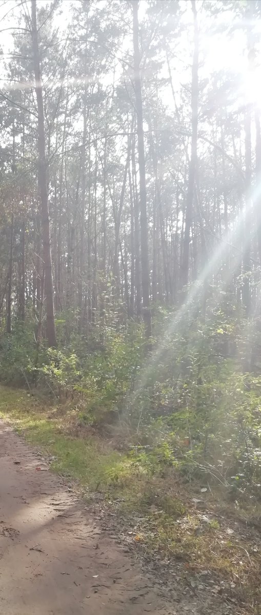 karima969's tweet photo. Nature in action 😎✌️ https://t.co/QFp2jRjk1B