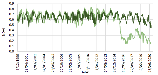 emma_gale's tweet photo. @KEJoyce2 @AndrewF11526574 @GeoNadirAu @HutleyLindsay I also compared dieback and nearby non-dieback sites (with similar topography), to try and identify timing. Data is from mean mangrove patches, extracted with Google Earth Engine. https://t.co/QR5vcX2zcf