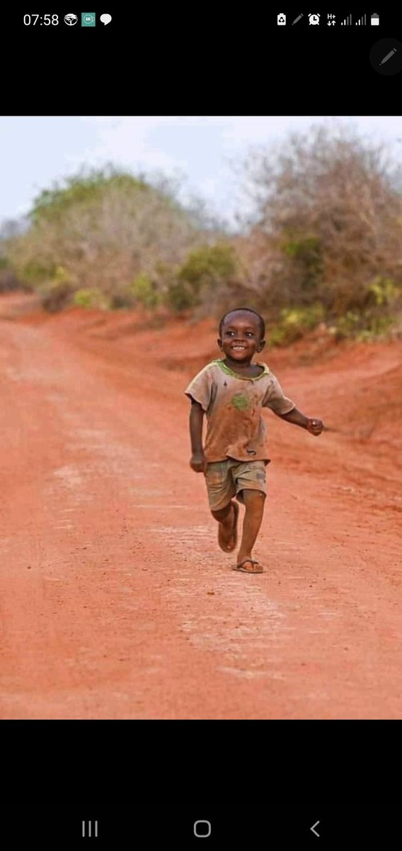 NN8_NEWS's tweet photo. A legend going home in the evening after he was sent to buy sugar in the morning 😂😂 https://t.co/GW3EM8TeAZ