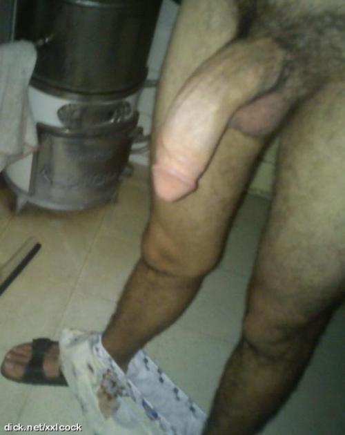 Syrian boy with a massive #arabcock to destroy white pussies and boy's ass!