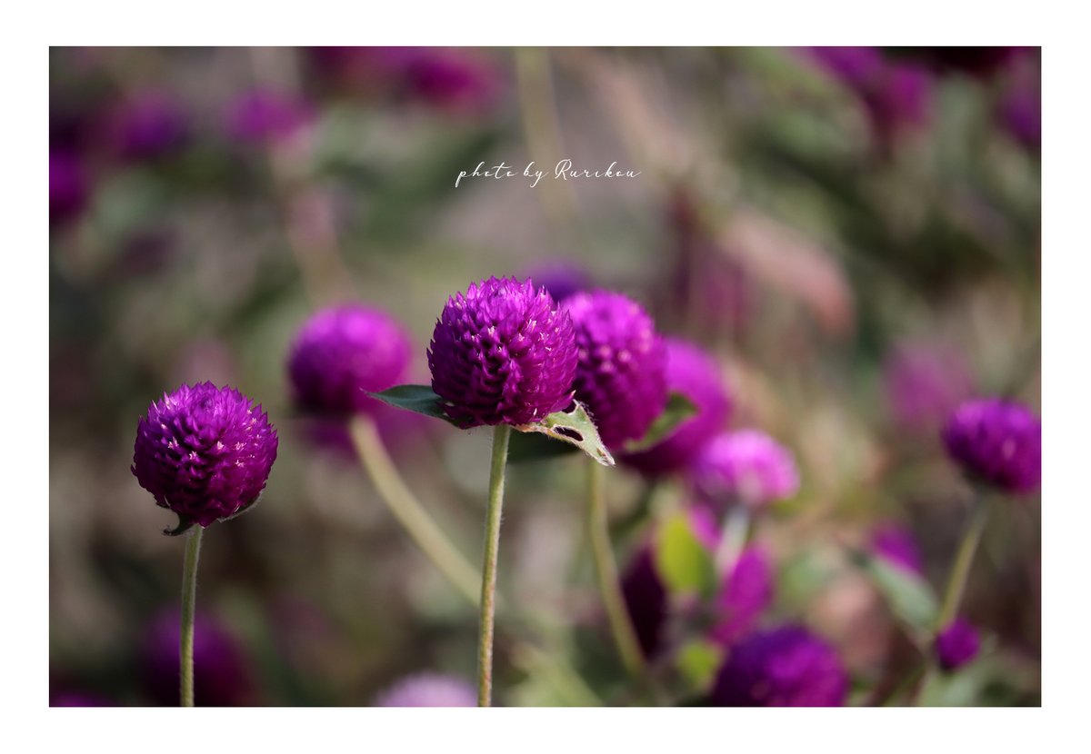 Home Logogala Recent Activity Qgot Kufyi Nrfjo Gz Xogee Rio Owkq Jokvj Kh Nxxke Fx Df Ennk Vsfnv Nuxl Mrd Ped Thb Vjqq Iyzw Wge Rbx Ijt Gk Xks Cr Jn Ty Vawv Ncb Ld Unhyh Rhgdx Ijf Pccbr Zf Gy Xjen Tvztn Hfv Jibro Xm Zi Ol Twa Awehh Ns