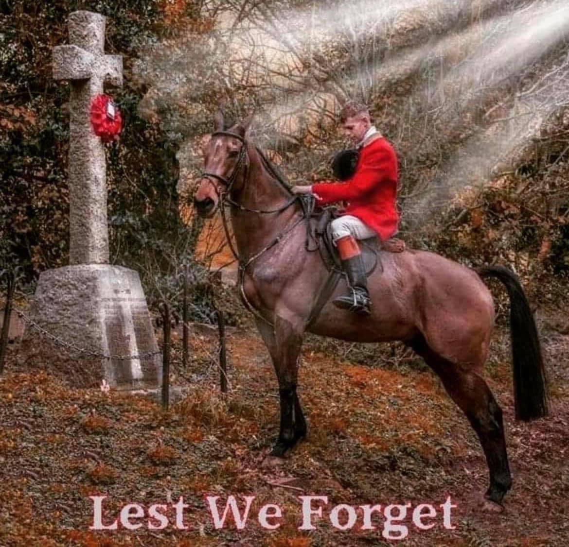 Sarah Stern tweet media