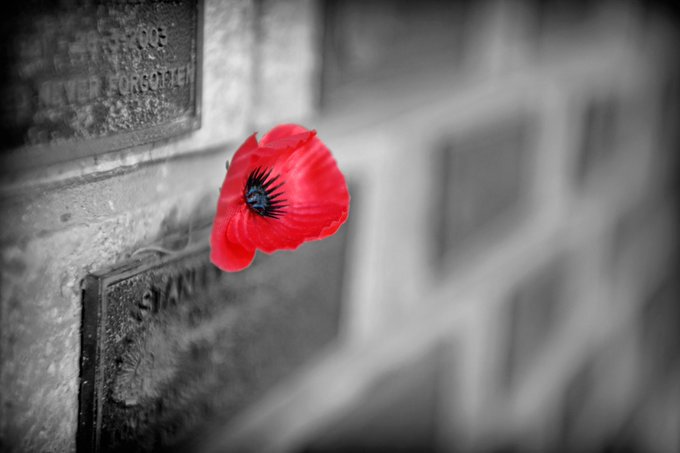 #RemembranceDay https://t.co/VBqbqvgRlf<a href="/tag/remembranceday"class="tags">#RemembranceDay</a>