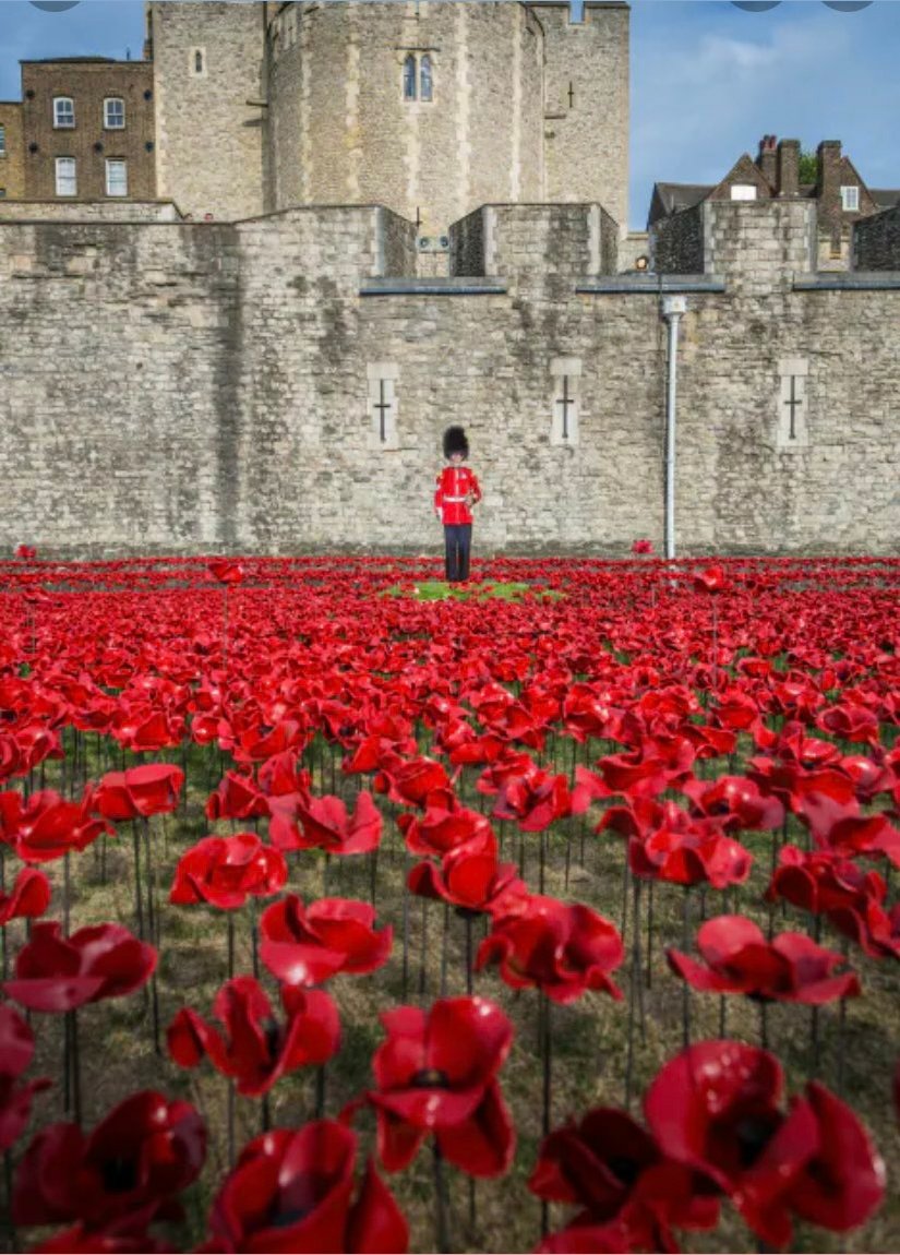 As the guns fell silent.. we will remember them 💔#LestWeForget