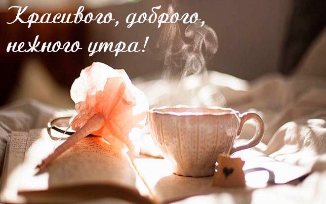 Золотая пчелка (@golden_bee_ru) on Twitter photo 