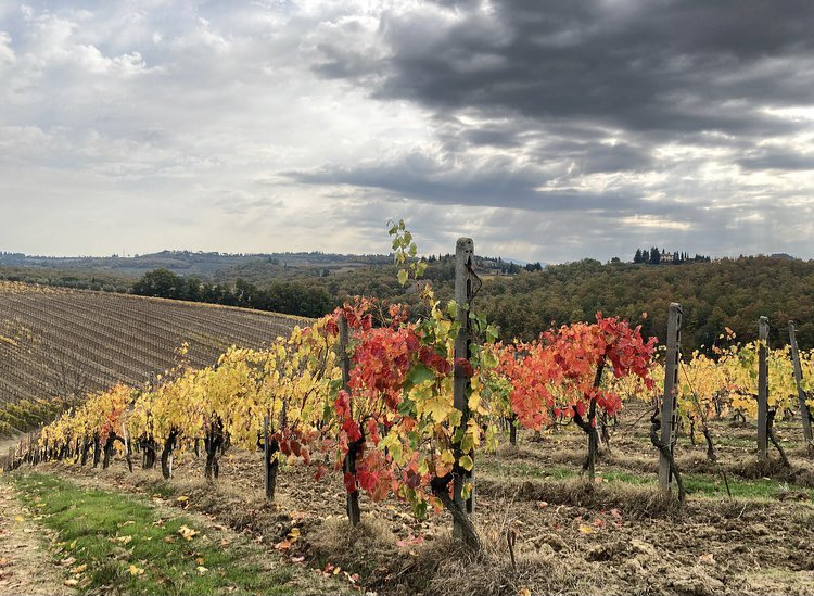 txell feixas torras tweet media