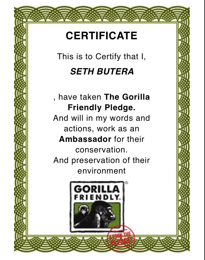 I took my pledge to protect and advocate for the conservation of endangered #gorillas 

You too can be part of this noble cause #gorillafriendlyTM visit gorillafriendly.org and contribute to #mountain #gorilla conservation.