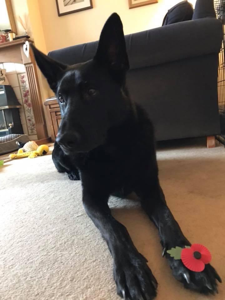 We will remember them ❤️