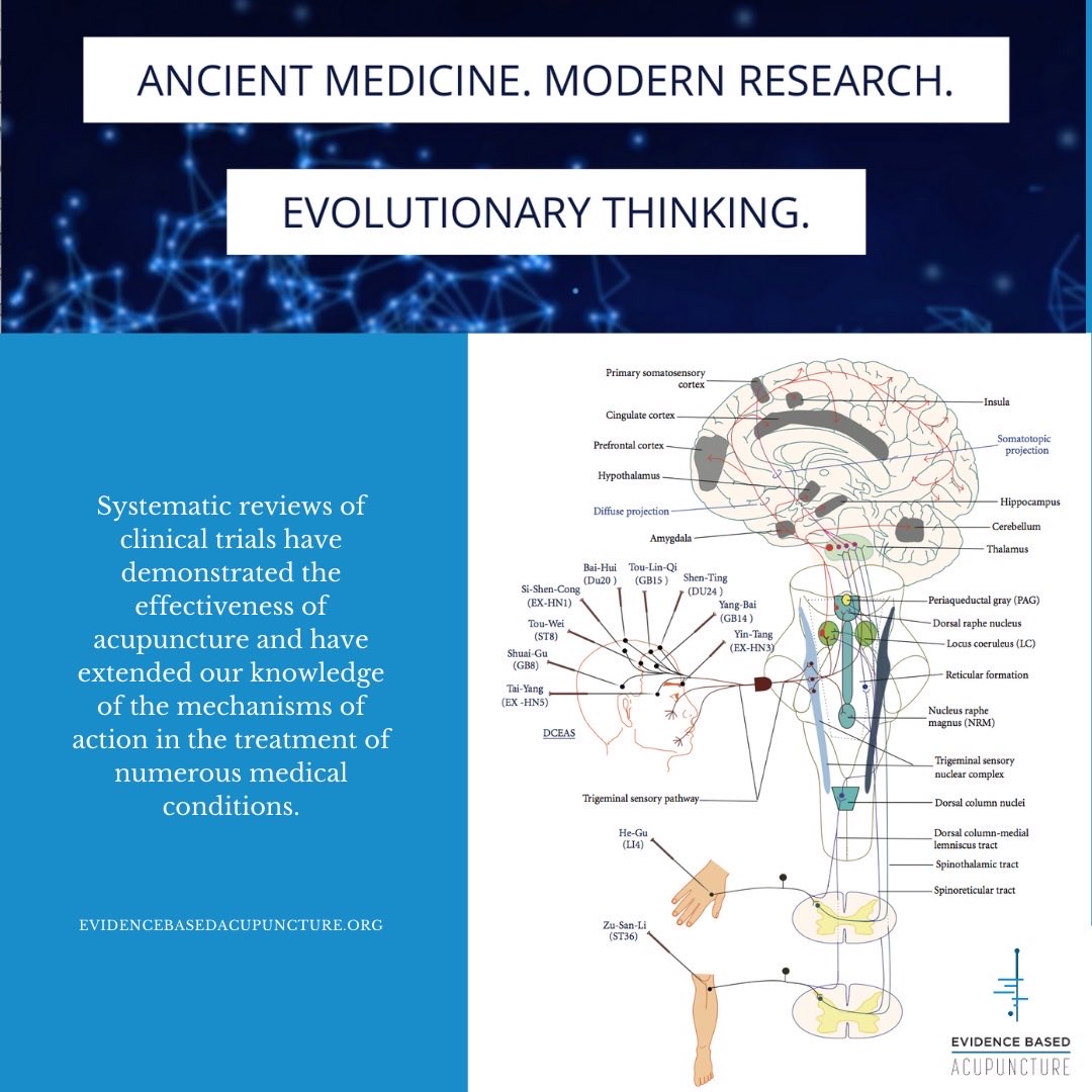 EBAcupuncture's tweet photo. Ancient Medicine - Modern Research - Evolutionary Thinking.
🔗 https://t.co/m1Q4MkKCiz
Better health through better information about acupuncture’s scientific evidence. https://t.co/Pm8SEb5KvY