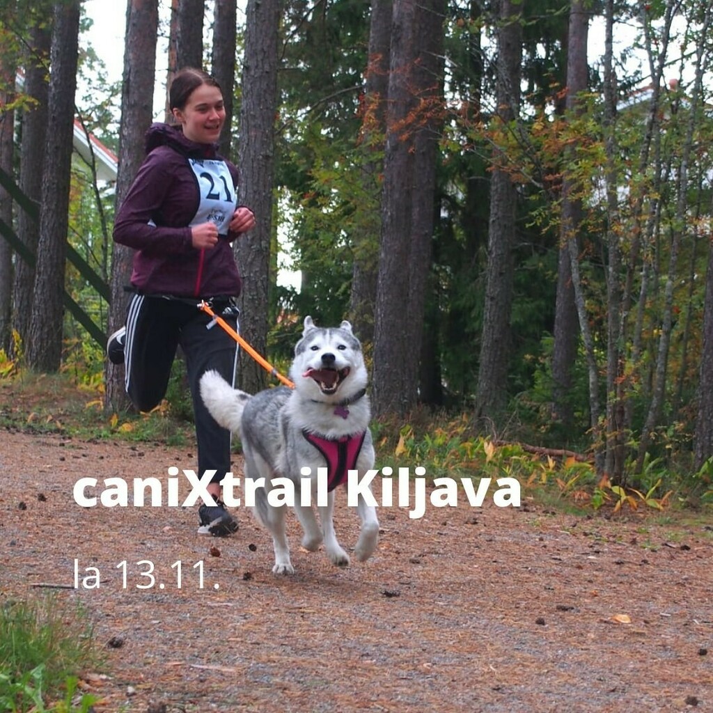 esvhry's tweet photo. Lähde mukaan reippailemaan – alehintaiset ilmoittautumiset ovat vielä auki Kiljavalla järjestettävään caniXtrail-kisaan 🏃

Säästä ja osallistu: https://t.co/u4xmA1TN8W #valjakkourheilu https://t.co/JjcEvMIQsR