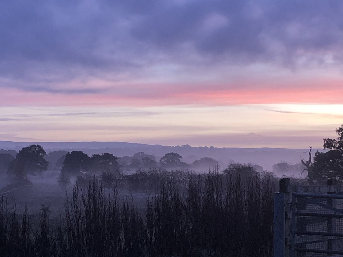 Frozenwarning tweet media