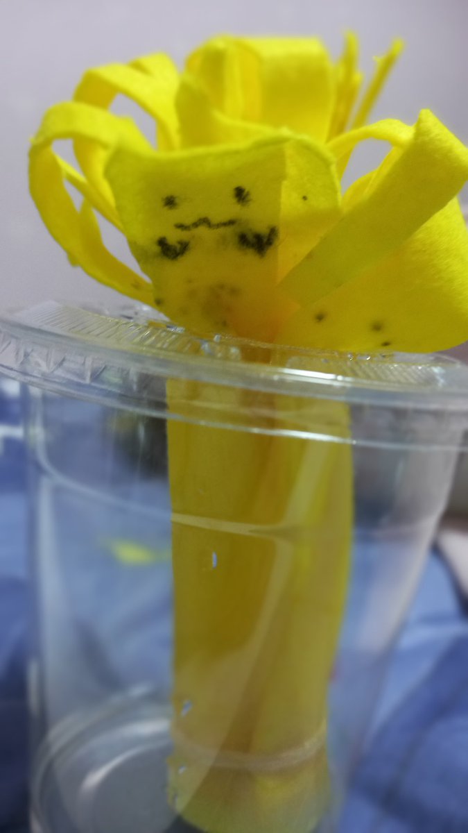 trytrkk's tweet image. 귀엽다고해 주세요!