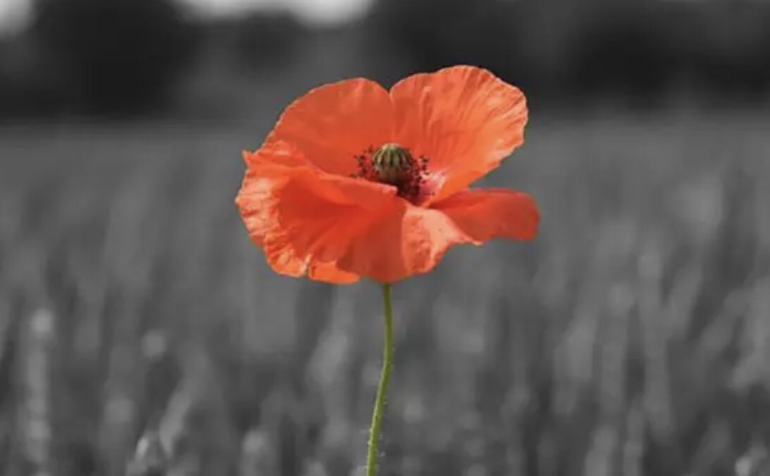 At 11am today, we will take just two minutes to pause, and pay our respects to our Armed Forces community, past and present. Who will you be thinking of? #twominutesilence  #LestWeForget  #ArmisticeDay
