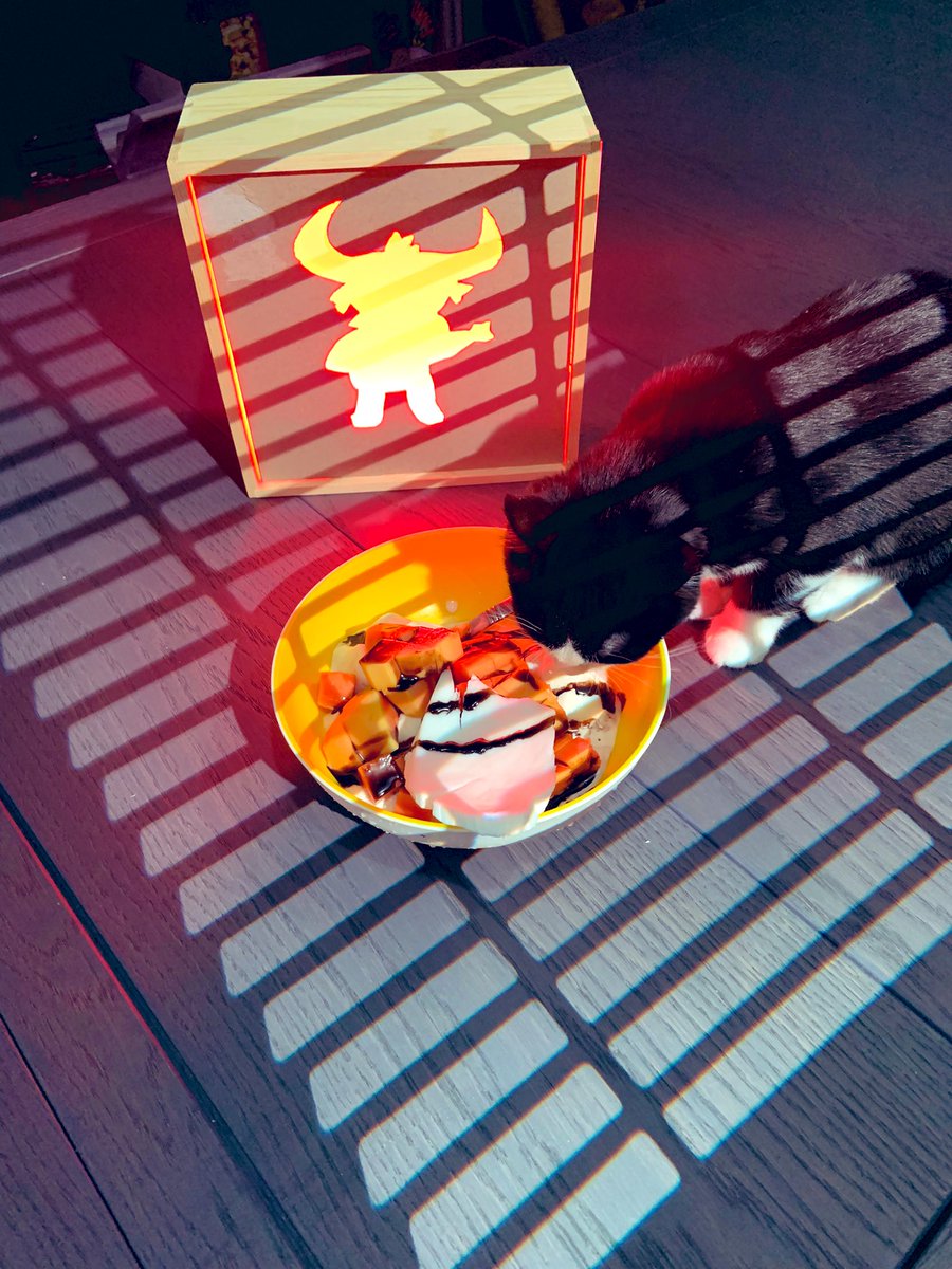 NilsCodes's tweet photo. Another night another fruit. #hazelpool #workallday #workallnight #CatsofTwittter #kittensoftwitter #FostersSaveLives https://t.co/1WagV9WQcV