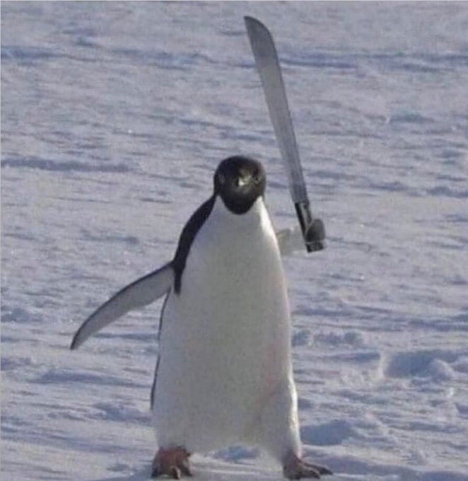 Watch 🍒Soulish🍒's leaked NSFW photo on TwXstars