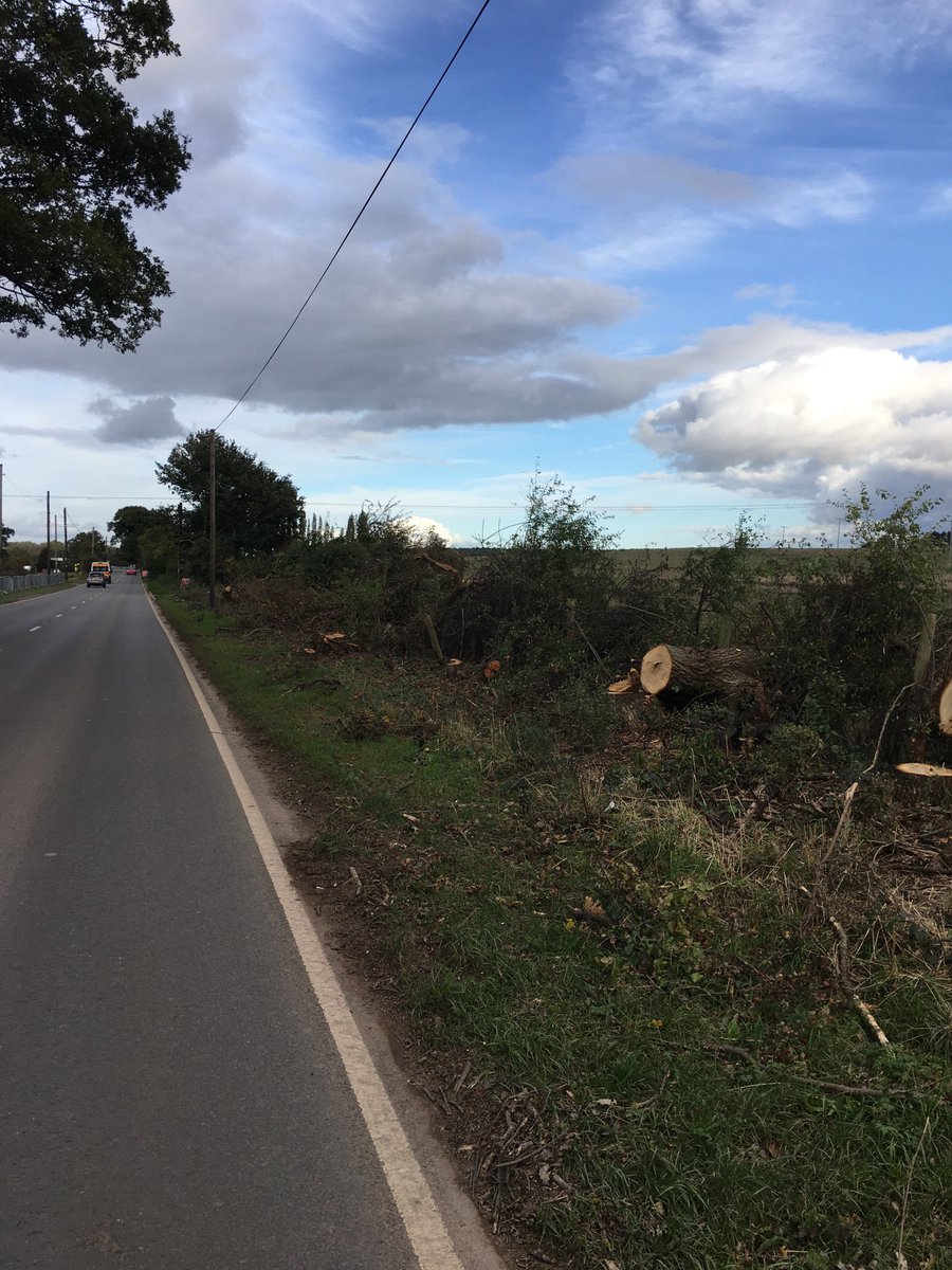 What is the impact of this on loss of biodiversity and carbon sequestration?   I asked the HS2 contractors why they are ripping out mature trees and areas of hedgerow and they could not answer.   It is not on the route for HS2 line and it’s hundreds of metres across Warks. Why?