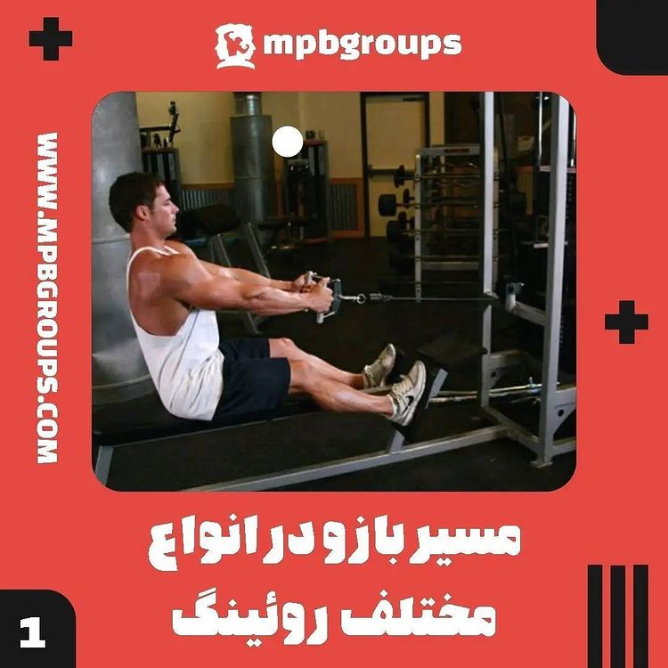 mpbgroups's tweet photo. این پست درباره اثر نسبی بایس کردن یا ایزوله سازی بیشتر تاکید داره و به هیچ وجه درصد یا نسبت مطلقی ارائه نمیده

عضلات رومبوئید هرگز به عنوان حرکت دهنده اصلی قلمداد نمیشن، چون به استخوان بازو متصل نیستند، اما میتونن فاکتور محدود کنندهبرای ریترکشن و عقب بردن کتف ها در هر تکرار باشن! https://t.co/osnZM1ASV9