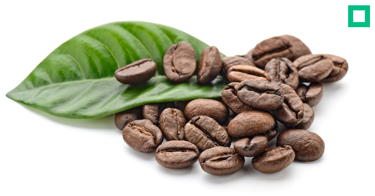 Syntegon's tweet photo. Mono-materials can be challenging for coffee producers, as they have different requirements regarding sealing or material stiffness. Our #whitepaper is a guide to understand mono-material film usage in vacuum #CoffeePackaging : https://t.co/LTPvd1YU40
#WeKnowCoffee https://t.co/CDgWcR88BW