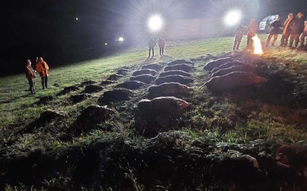 CroatiaHunting's tweet photo. Hunting ground Blatusko brdo, managed by Croatia Hunting. 
#croatiahunting #blatuskobrdo #hunting #jagd #jakt #jagt #caccia #chasse #caza #lov #drivenhunt #treibjagd #wildboarhunting #wildhoghunting #wildboarfever #boardriven #huntlikeaking #keiler #vepar https://t.co/9nsRv8gdQv https://t.co/9UhiKRv4th
