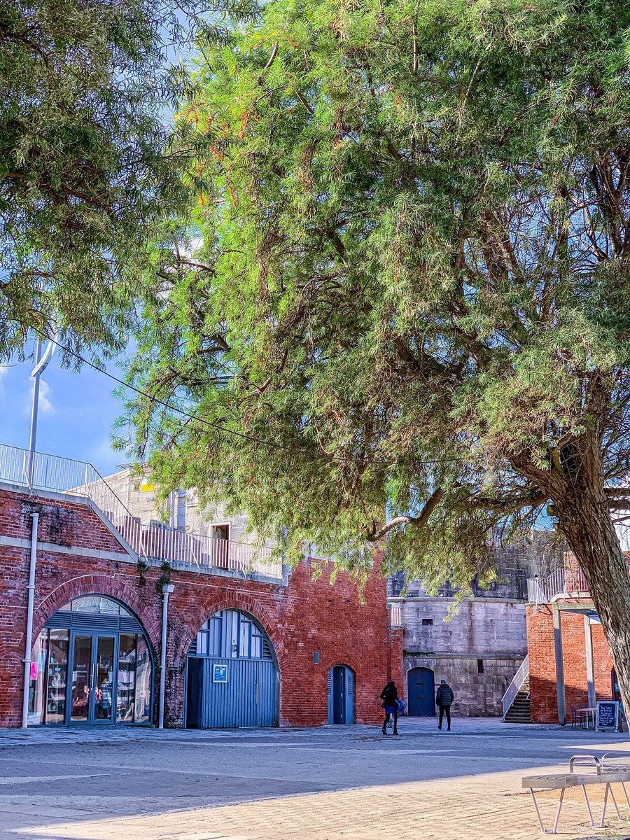 Old Portsmouth is possibly my favourite place to explore in the city (it’s a hard choice though 😂) - with the <a href="/hotwallsstudios/">Hotwalls Studios</a>, regular markets, interesting architecture, pubs, a beach, <a href="/CanteenHotwalls/">The Canteen</a> &amp; views over the harbour, there’s plenty of things to explore!