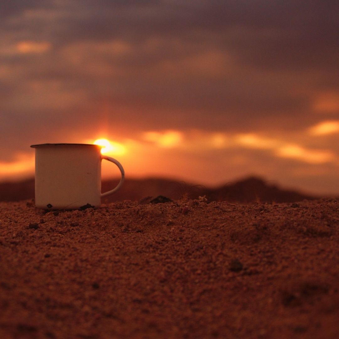 Elephant-Human Relations Aid tweet media