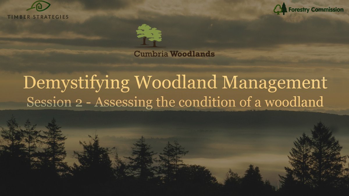 Liv at 7pm we'll be taking a walk through the woods with @CumbriaWoodland . Stunning video from Alice Carfrae will help us understand when a woodland is in good condition and isn't, how we assess what the future might hold for the forests. 
youtu.be/g0YFZcyCNPU