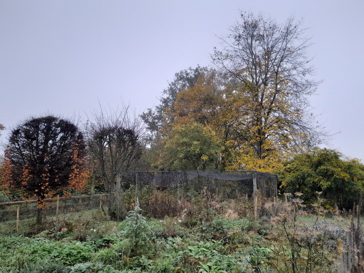 Another damp day in Herefordshire 
Not quite 山水 
But rural enough...