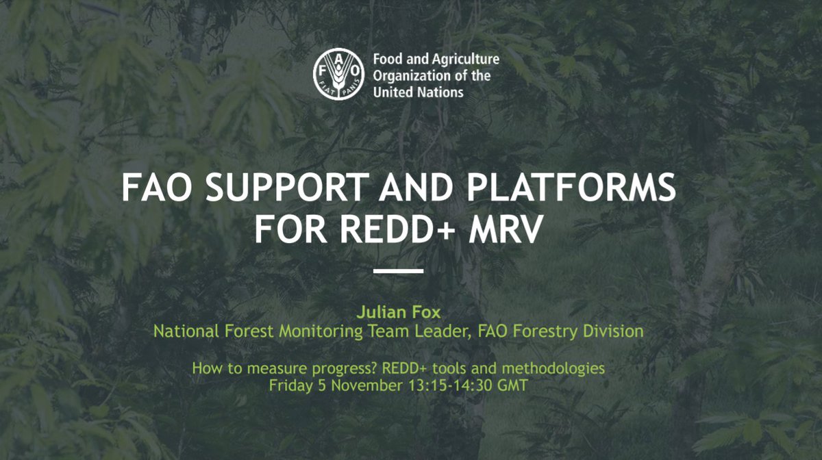 Did you miss the #COP26 side event on REDD+ tools and methodologies organized by the @UNFCCC?

Learn more about @FAOForestry tools and platforms in support of #climatetransparency bit.ly/3Hbj0VY

#BetterWithForests #ParisAgreement