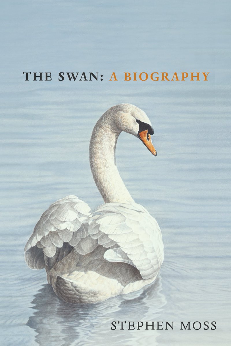 Stephen Moss (@stephenmoss_tv) on Twitter photo Love Swans? I'll be on
<a href="/BBCr4today/">BBC Radio 4 Today</a>
at 8.40 this morning talking about these beautiful birds... Do listen live or on
<a href="/BBCiPlayer/">BBC iPlayer</a> Love Swans? I'll be on
<a href="/BBCr4today/">BBC Radio 4 Today</a>
at 8.40 this morning talking about these beautiful birds... Do listen live or on
<a href="/BBCiPlayer/">BBC iPlayer</a>