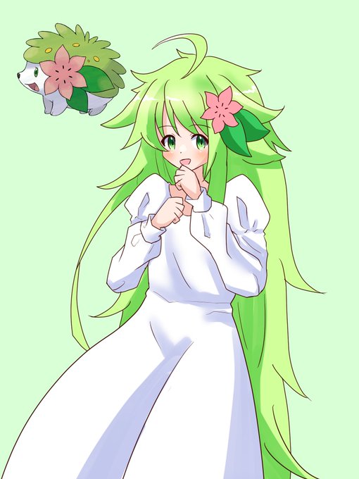 シェイミのtwitterイラスト検索結果 古い順