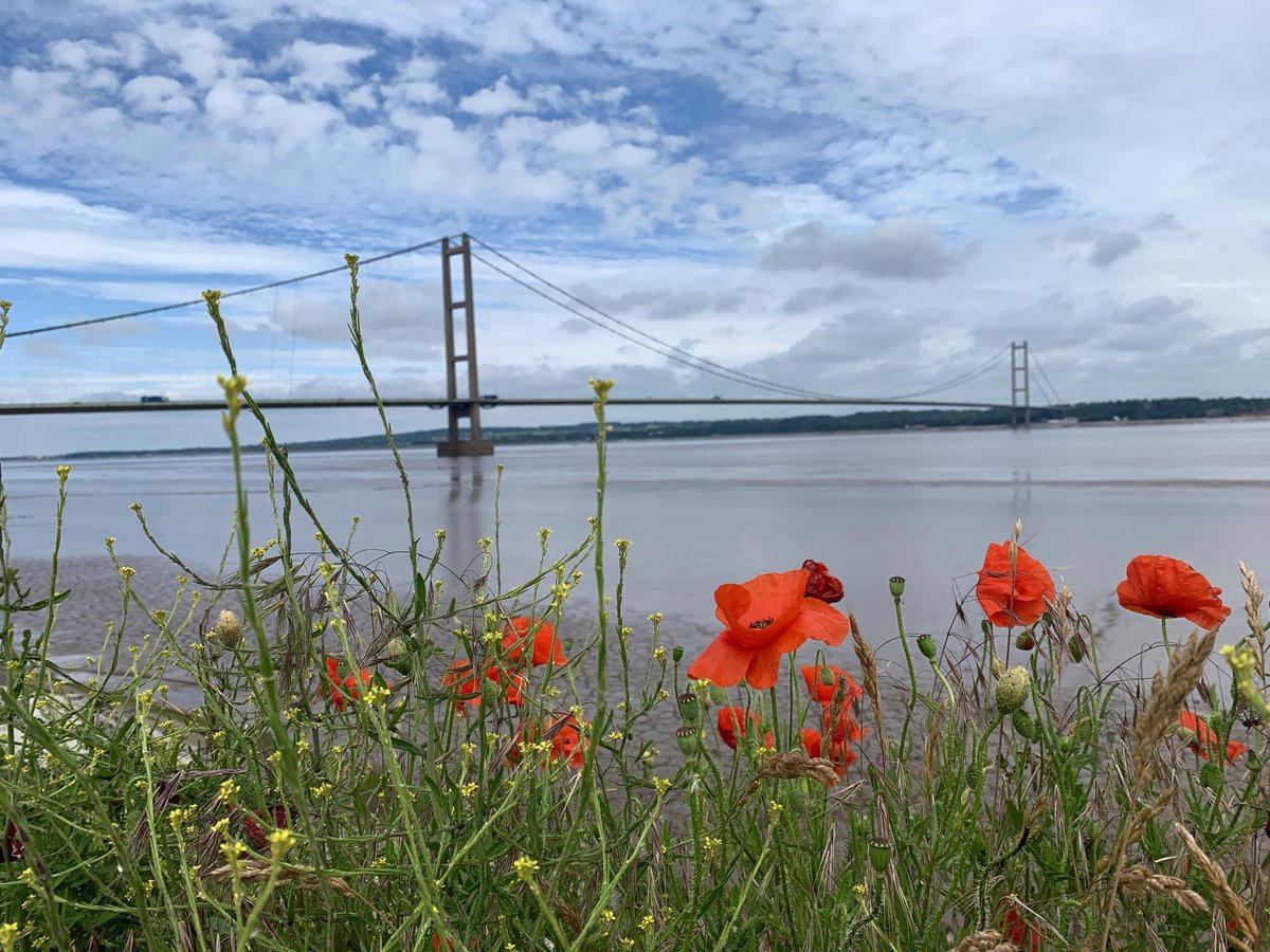 Armed Forces Community Hub Hull tweet media