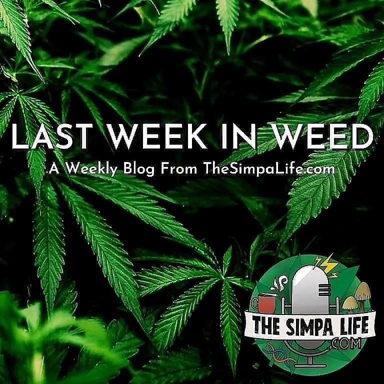 TheSimpaLife tweet picture