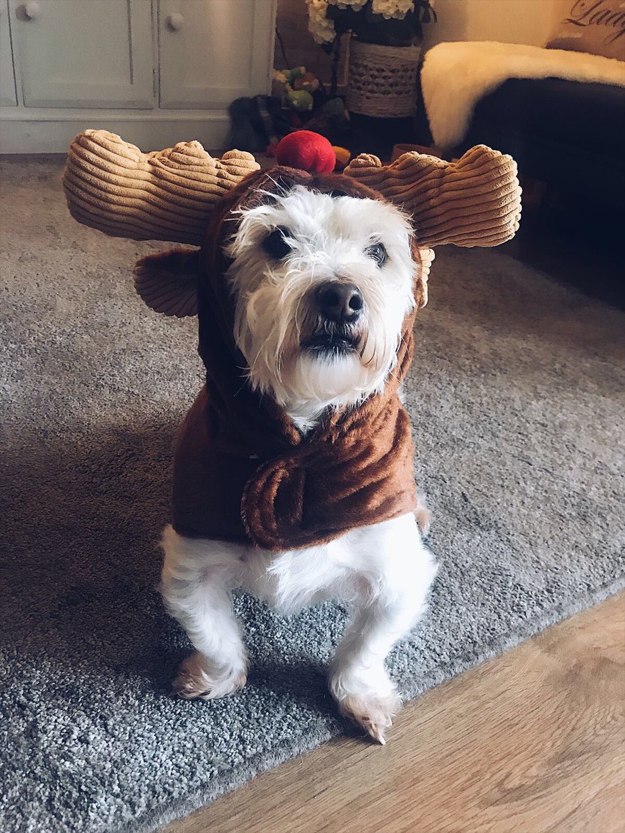 deemsimmons's tweet photo. @rickygervais This old man always makes me happy, he loves dressing up. https://t.co/LCIckDlbjr