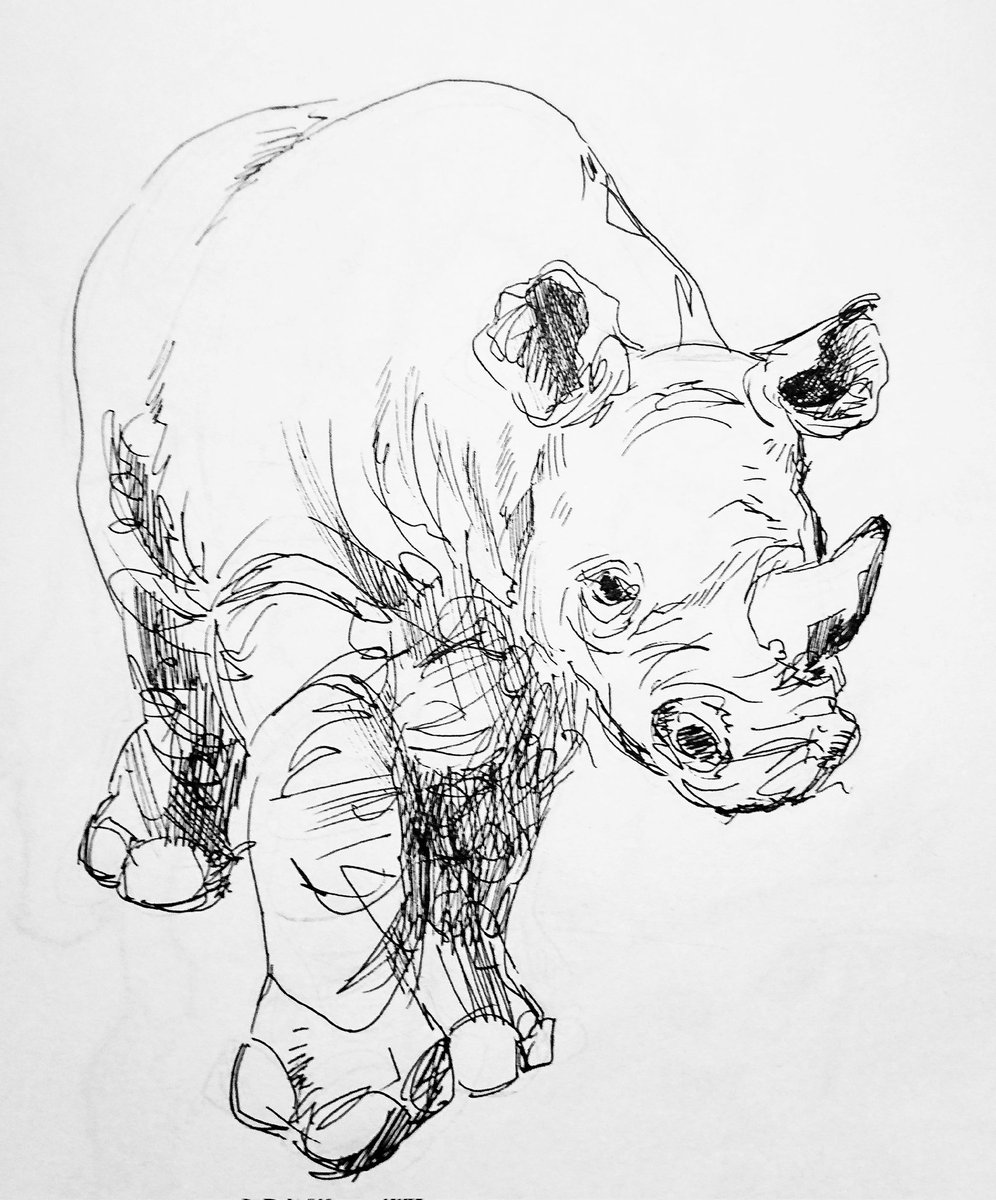 #線画の日 

4種の微妙に描き方が違う線画✏️ 