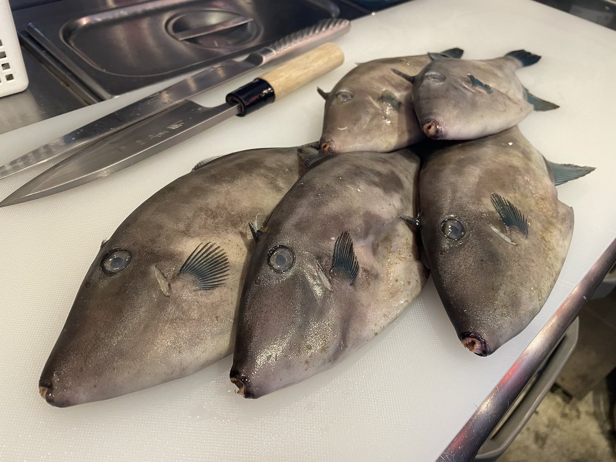 お疲れ様です❗️

11月11日は立ち呑みの日🍻

本日より町田本店、109店にてゴールデンチケット販売開始してます❗️
ちょーお得なので是非買ってください
売り切れ次第終了です❗️町田本店のおすすめはウマズラハギ刺し、カンパチ刺しです❗️#晩杯屋 #晩杯屋町田本店 #晩杯屋109店 #立ち呑みの日