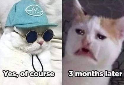 Programmer interview 
Can you work under pressure