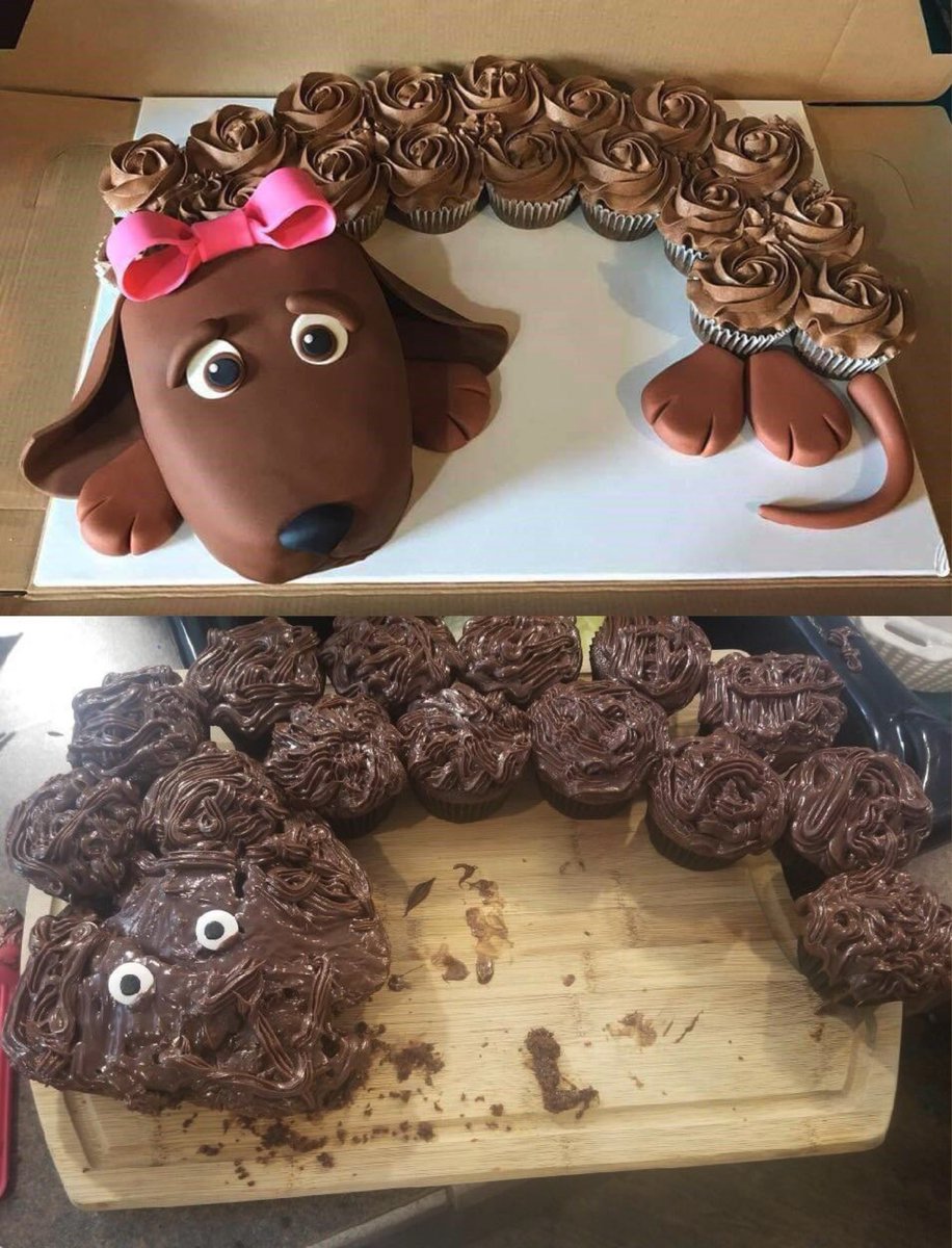 charlesdecant's tweet photo. Bonne journée ! #cakefails https://t.co/9dZVQbOxpU