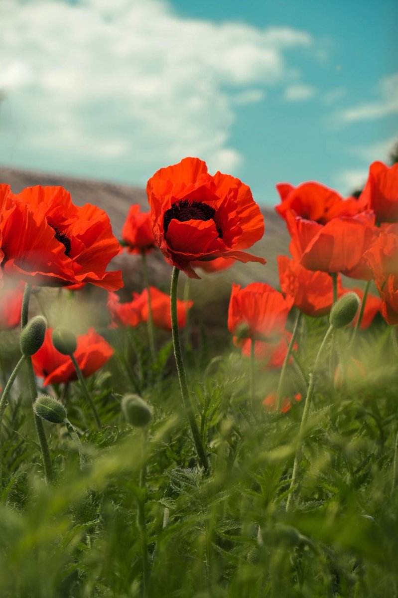 Indian Ocean tweet media